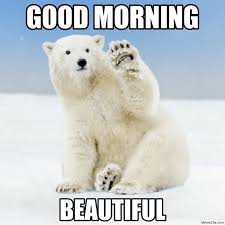 We did not find results for: Good Morning Beautiful White Bear Meme Memezila Com