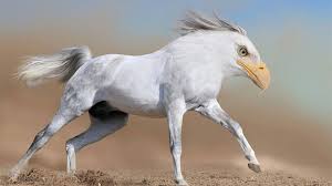 Here are 20 funny photoshopped animals 1. 15 New Animal Species Bred In Photoshop Bored Panda
