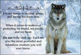 Quotes About Protectors Quotesgram