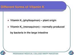 This reflects both structural differences between the two (vitamin k2 circulates much longer in the blood) as well as differences in the types of foods which vitamins k1. Vitamin K Vitamin K Different Forms Of Vitamin K Vitamin K1 Phylloquinon Plant Origin Vitamin K2 Menaquinon Normally Produced By Bacteria Ppt Download