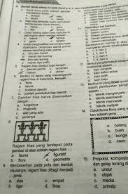 Selain itu, keberagaman masyarakat indonesia ditandai oleh adanya segmentasi. 6 Berikut Ini Faktor Yang Mempengaruhi Ragam Hias Di Indonesia Kecuali A Flora B Fauna C Brainly Co Id