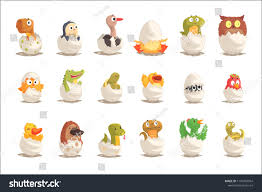 Chicks And Reptiles Hatch From Eggs Set Unborn Animals Vector Illustrationshatch Eggs Chicks Reptiles Unborn Vector Illustration Chicks