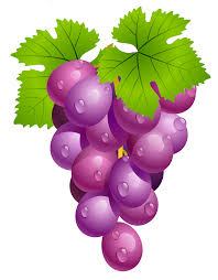 Grapes With Leaves Png Clipart Picture Desenho De Uva Desenhos De Frutas Desenho De Melancia