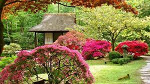 Japanese Garden The Wonder Of Zen Culture Culture Garden Japanese Wonder Beautiful Flowers Garden Japanese Garden Beautiful Gardens