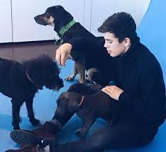 Hayes grier and charley borquez. Charley Borquez Wiki Hayes Grier S Girlfriend Age Boyfriend Height Weight Biography