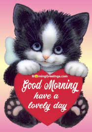 30 Cute Cat Morning Greetings Morning Greetings Morning Quotes And Wishes Images