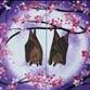 Date Night - Just Hanging Out - Set event image