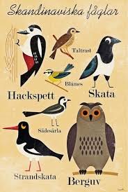 Nordic Thoughts Ingela Arrhenius Scandinavian Posters Schwedisch Lernen Poster Muster Illustration