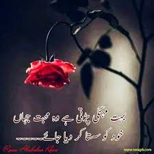So it means 'golden sayings' in english. Aqwal Zareen Urdu Qoal Aqwal Zareen Urdu Qoal Aqwal Zareen Urdu Qoal