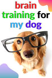 Brain Training For My Dog In 2021 Dogs Working Dogs Big Dogs