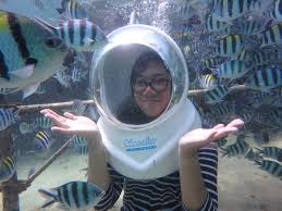 Sebuah catan pemandangan dasar laut dengan gambaran imej kapal rv discovery yang merupakan salah satu aset penting universiti malaysia terengganu (umt) melal. Sensasi Wisata Berjalan Di Bawah Laut Mau Coba Travel Tempo Co