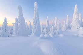 Finland, officially the republic of finland (finnish: 3 Reasons To Get To Finland And See Why The Saying The Forest Is The Church Is Absolutely True
