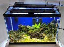 Nicrew led aquarium lighting fixtures, in addition to being adjustable, can also provide effects for your aquarium. Product Review Nicrew Led Aquarium Lights Odin Aquatics