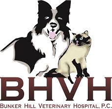 Allpets veterinary hospital offers a professional and compassionate care for the patient & owner in the fully equipped small animal veterinary hospital. Bunker Hill Veterinary Hospital P C Veterinarian In Factoryville Pa Us