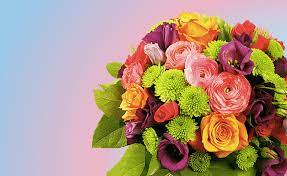 It does not matter is it mother's day, valentine day all our flowers are sent by mont royal delivery service. Free Delivery Montreal Quebec Flower Delivery Canaflora Ca