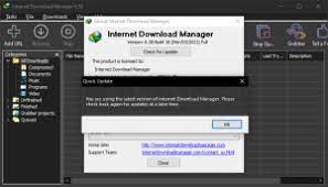 Internet Download Manager 6 38 Build 18 Full Version