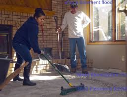 Begin this step by combining warm water with a mild brand of soap. Steps To Prevent Mold After A Basement Flood Mold Remediation Pros