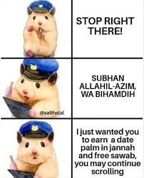 Is squid halal shia : Is It Haram To Eat Rare Steak