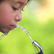 cleanerworld saferkids simpler pleasures Environmental Working Group annual  report 2008