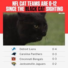 No account needed, updated constantly! Espn On Twitter The Mnf Cat Curse Is Real Since The Black Cat Sighting On November 4th The Nfl S Cat Teams Have Lost Every Game They Ve Played H T Reddit U Duval11 Https T Co Wqm6deoqcd