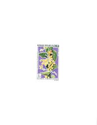 Image result for Cogniauxia