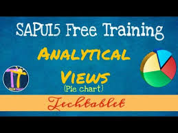 20 Analytical View Pie Chart Sapui5 Fiori Tutorial Techtablet Varun Rao