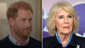 Camilla 'hurt' to be branded 'villain' by Prince Harry, close friend claims