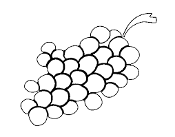 Print raisins coloring page (color). Wine Grapes Coloring Page Coloringcrew Com