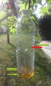 Un nid de frelon asiatique à basse altitude représente un réel et grave danger pour les enfants./ ce qui annonce une période estivale difficile. Pieges Pour Frelons Asiatiques Elles Arrivent Miellerie Des Graves Chasseur De Frelons Frelon Asiatique Frelon Piege A Frelon