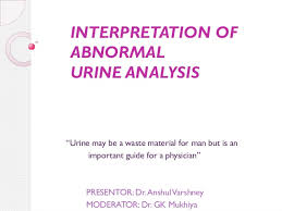 Urine Interpretation Test Analysis