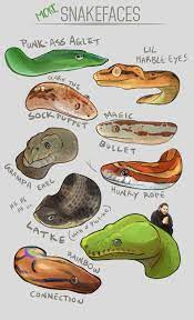 Moar Snek Face Snake Drawing Cute Reptiles Snake Art