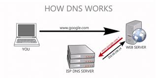 Http Www Want2host Com 2020 04 Name Servers Domains Used Html In 2020 Dns Name Server Server