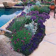 Not sure what aspect your garden is? Pin On How Does Your Garden Grow