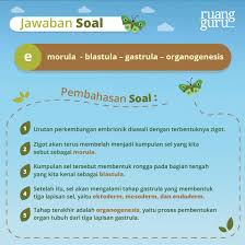 Perkembangan pada umumnya terjadi pada kebanyakaan orang dalam periode usia tertentu dicatat sebagai kecenderungan sifat perkembangan dalam periode tertentu. Pertumbuhan Dan Perkembangan Pada Hewan Biologi Kelas 12