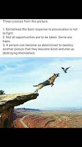 Pin De Lizard Overlord En Quotes Poemas De Inspiracion Fraces De Inspiracion Imagenes