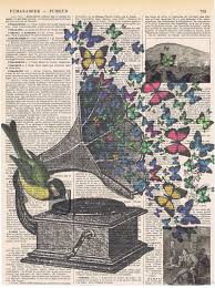 Pin On Butterfly Love