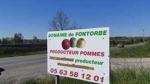 Météo albi pour aujourd'hui, jeudi, 21.01.2021. Meteo France Lavaur Tarn