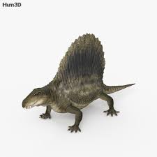 In new horizons, the total number of fossils is 73, up from 67 in new leaf. Dimetrodon Hd 3d Model Animals On Hum3d