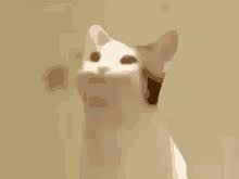 The focus popcat is an emblem heartless that appears in kingdom hearts iii. Bitcoin Pop Cat Yellow Gif Bitcoinpopcat Yellow Icoffender Discover Share Gifs