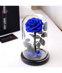 We did not find results for: ÙˆØ±Ø¯ Ø§Ø²Ø±Ù‚ Ø¯Ø§Ø¦Ù… Ø·Ø¨ÙŠØ¹ÙŠ Ù…Ø­ÙÙˆØ¸ Ø«Ù„Ø§Ø«ÙŠØ© Rose Gift Gifts Flower Delivery