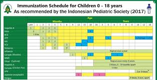 Vaccination For Children In Indonesia Things You Need To