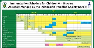 vaccination for children in indonesia things you need to