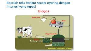 Kunci jawaban buku tematik kelas 5 tema 9 kurikulum 2013 edisi revisi. Kunci Jawaban Tema 6 Kelas 3 Sd Halaman 144 145 146 147 148 149 Subtema 3 Pembelajaran 6 Tematik Tribunnews Com Mobile