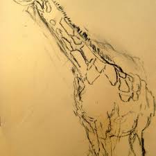 It's very well rounded and follows the curves of our circular template. Sketching Animals At The Zoo And Beyond