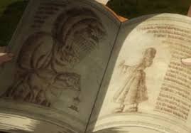 For more pages referred to by this name, see ymir (disambiguation). Suniuz Tumblr Com Tumbex