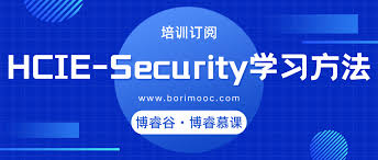 IT课程在哪学？HCIE-Security的学习方法