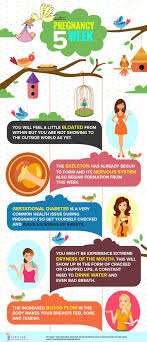 Pin On Pregnancy Week By Week