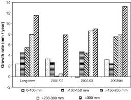 Image result for Psydrax locuples