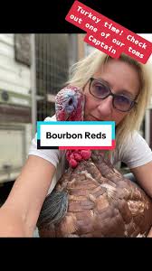 Heritage Turkeys from Tractor Supply Grown Up