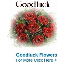 We did not find results for: Flowers To India Send Gifts To India Good Luck Cakes To India Bloomnbud Com